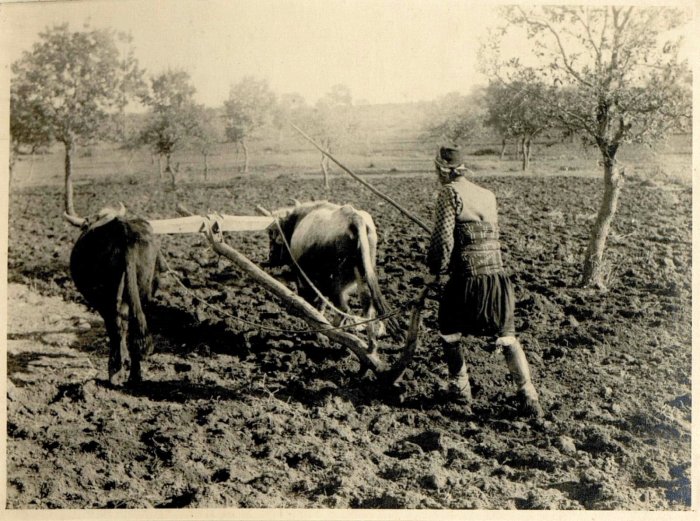 erenöy çiftçi.jpg