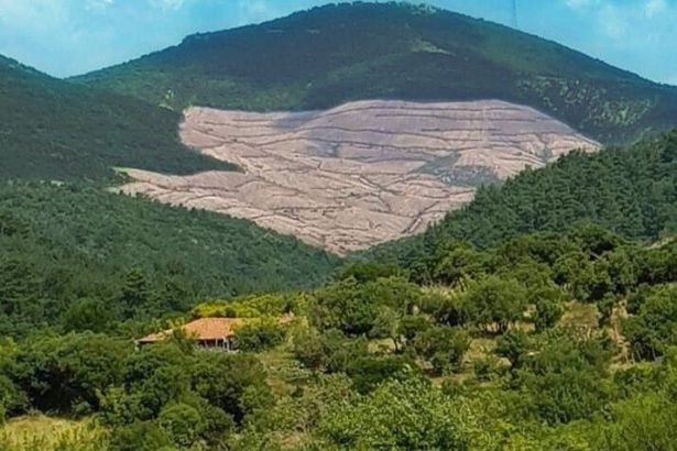Doğu Biga Temdit (uzatma) Listesinde yer almadı...