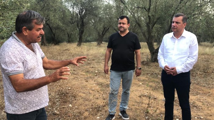 Özgür Ceylan zeytin üreticisi (3).jpg