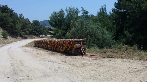 çöp2_resize.jpg