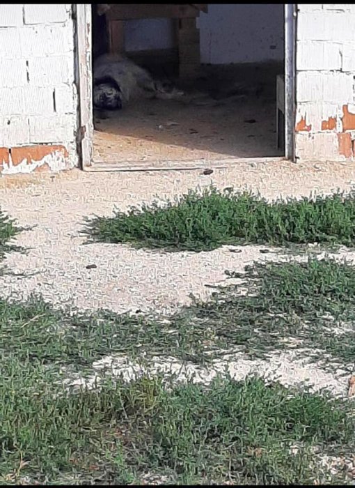 çanbarınak (1).jpg