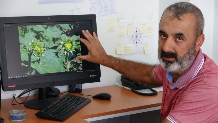 çayır tırtılı prof efil (4).jpg
