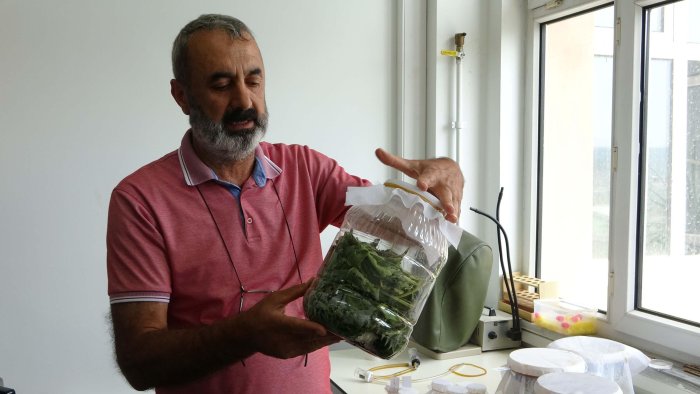 çayır tırtılı prof efil (7).jpg