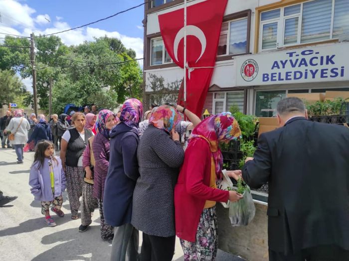 Ayvacık-10binsebzefidesi2.jpg