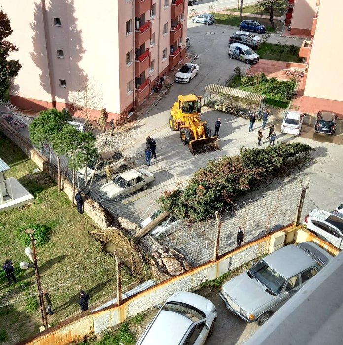 ağaçlar (1).jpg