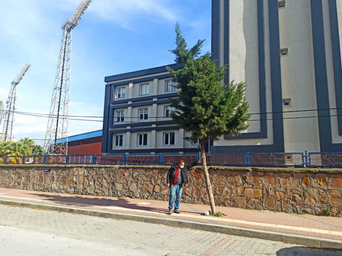 ağaçlar (4).jpg