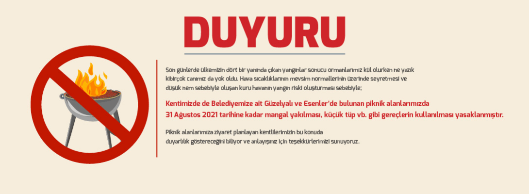 ateş1.png