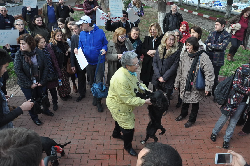 köpek (3)_resize.JPG
