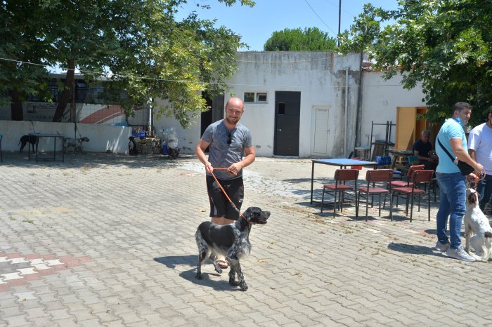 köpekler (2).JPG