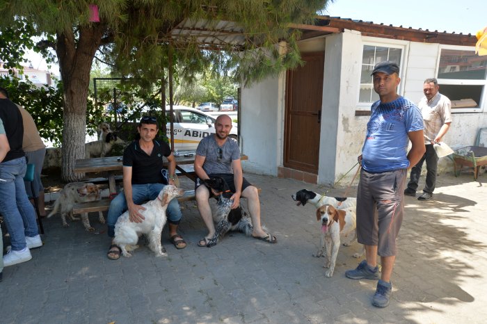 köpekler (6).JPG