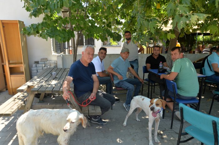 köpekler (8).JPG