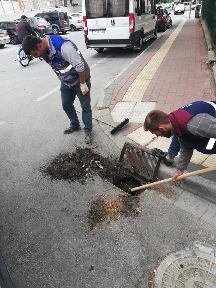 karsırga1.jpg