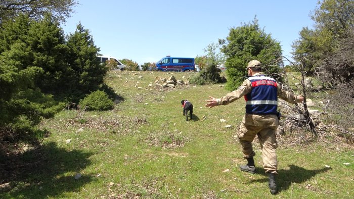 kayıp (3)(1).jpg