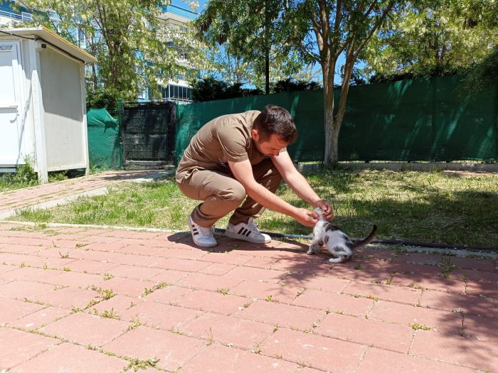kedi köyü2.jpg