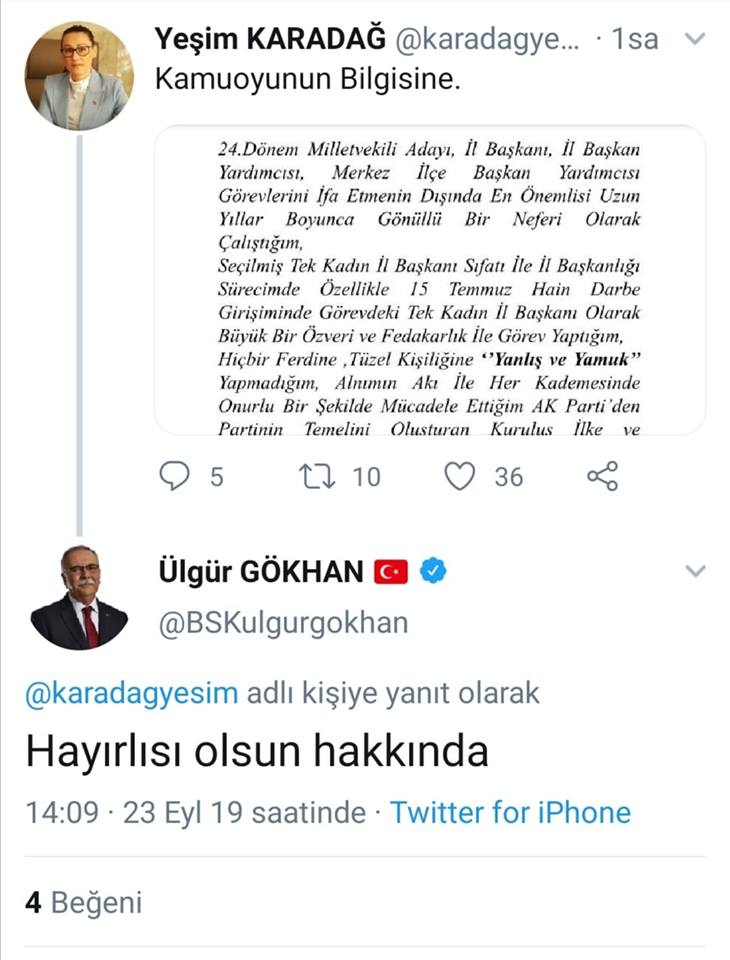 yeşim ülgür.jpg