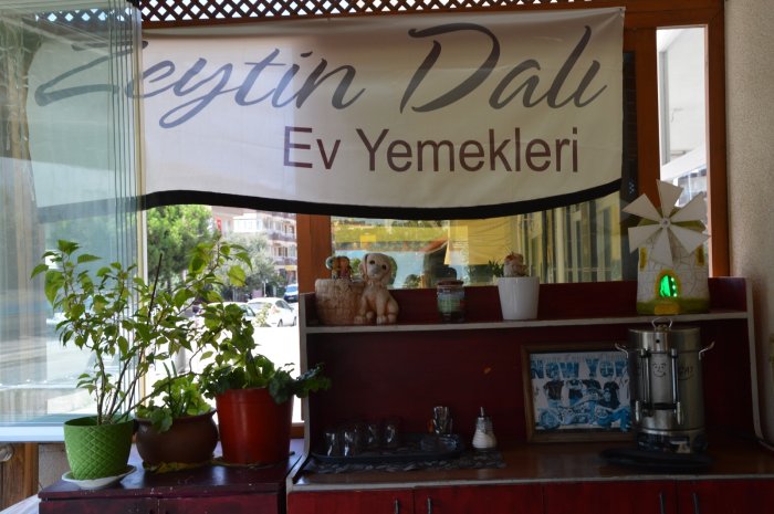 zeytindalı2(1).jpg