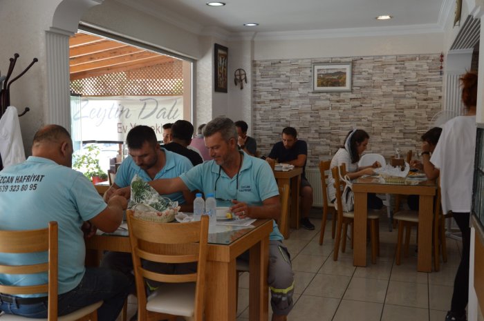 zeytindalı3.jpg