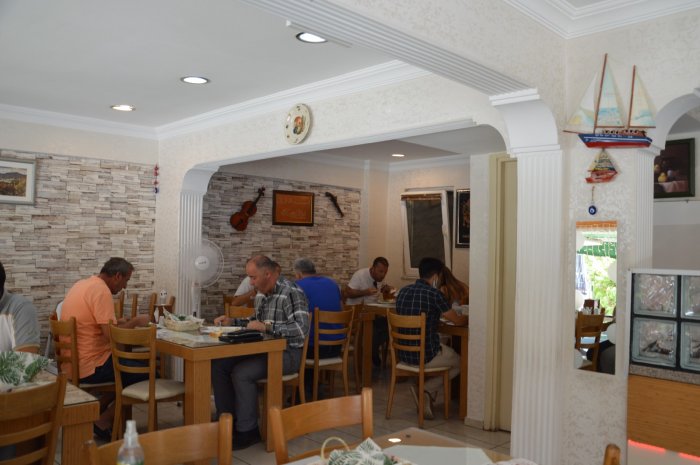 zeytindalı6.jpg