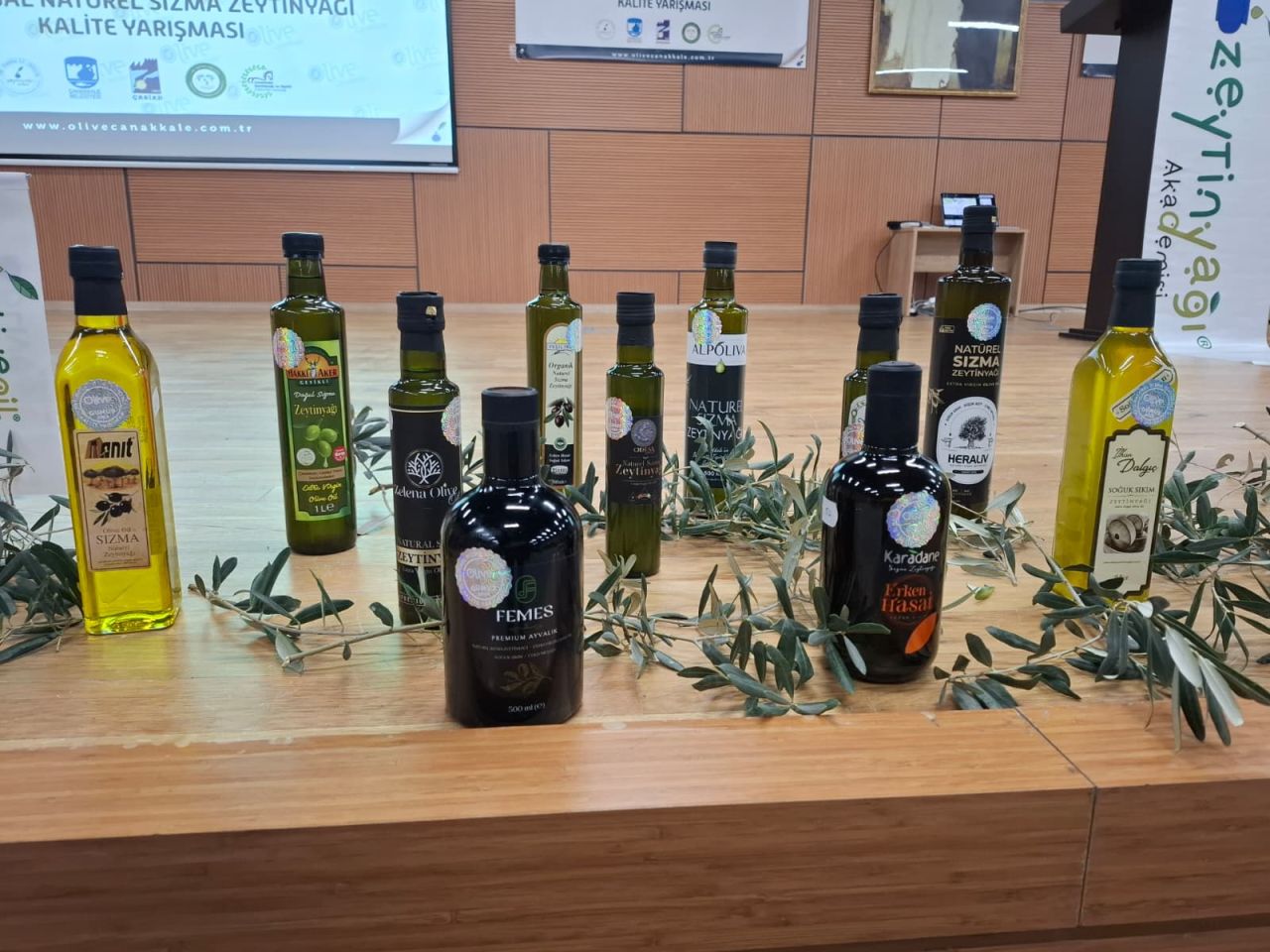 02715_zeytin-yarismasi-2