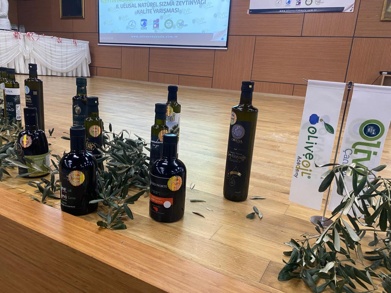 11944_zeytin-yarismasi-37