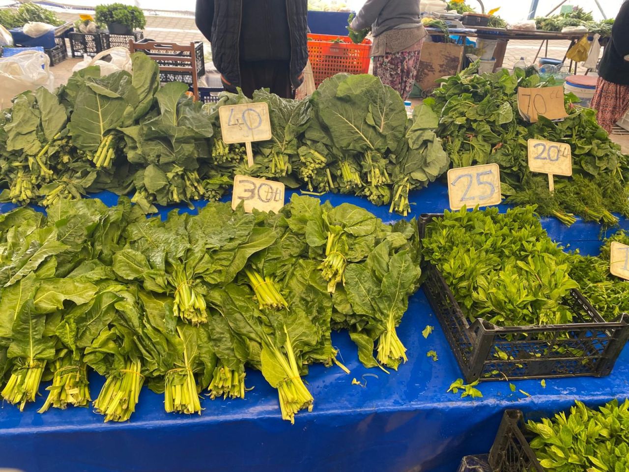 24531_whatsapp-image-2026-04-17-at-16-42-50