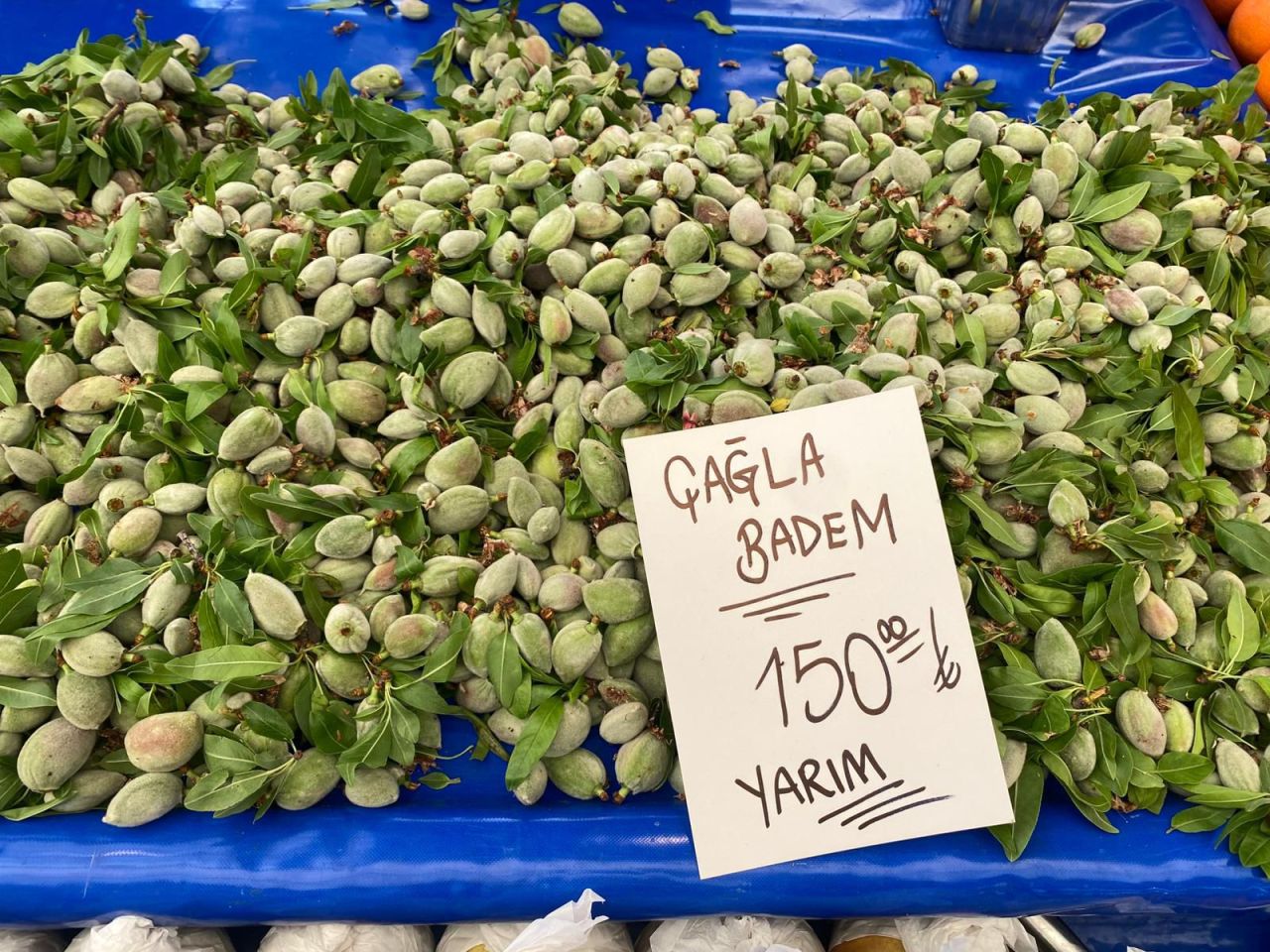 60433_whatsapp-image-2026-04-17-at-16-42-50-5