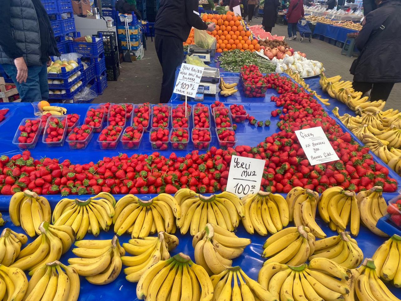 64043_whatsapp-image-2026-04-17-at-16-40-29-1