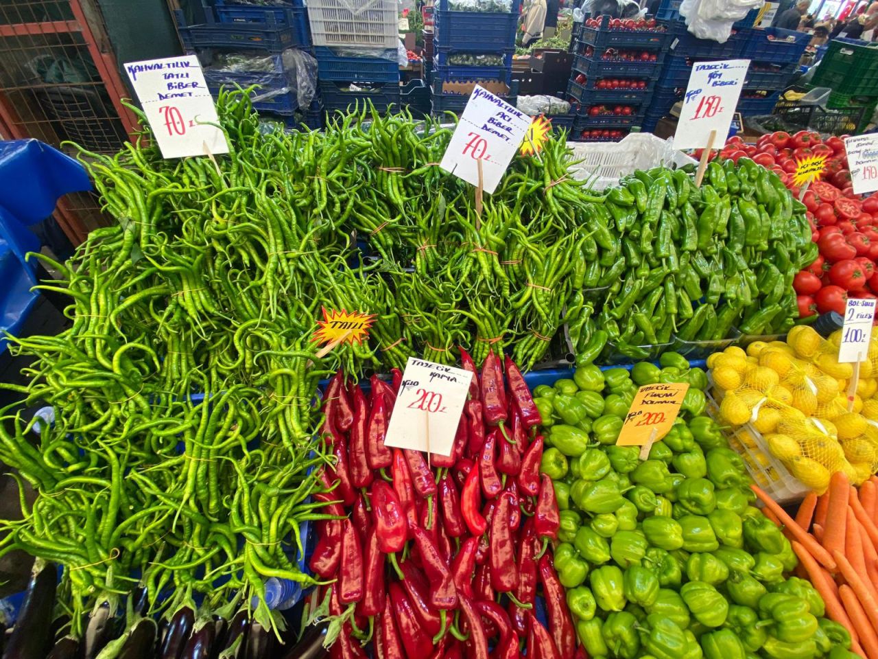 98930_whatsapp-image-2026-04-17-at-16-43-03-1