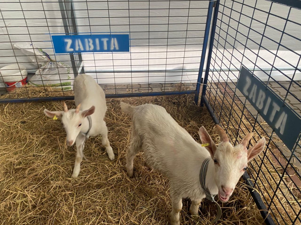 39831_whatsapp-image-2026-04-22-at-16-05-39