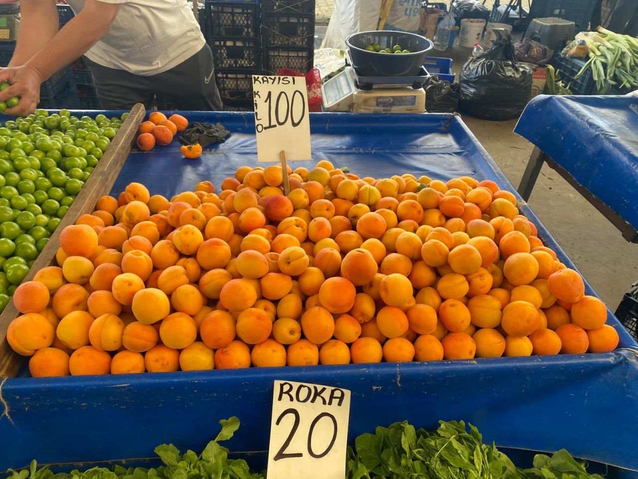 86521_cumapazari-17
