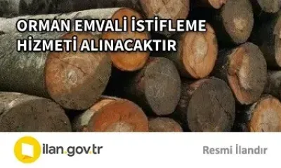 ORMAN EMVALİ İSTİFLEME HİZMETİ ALINACAKTIR