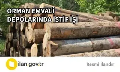 ORMAN EMVALİ DEPOLARINDA İSTİF İŞİ