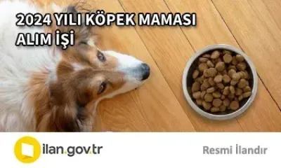 2024 YILI KÖPEK MAMASI ALIM İŞİ