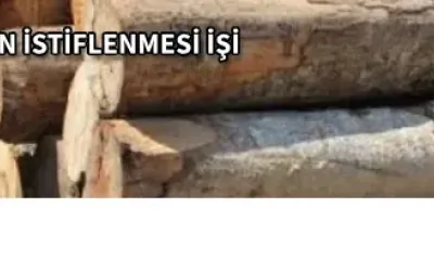 ORMAN EMVALİNİN İSTİFLENMESİ İŞİ