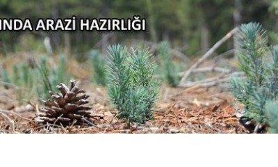 ÇAN ORMAN İŞLETME MÜDÜRLÜĞÜ ÇAN, BIÇKIDERE, KARADAĞ VE ETİLİ ORMAN İŞLETME ŞEFLİKLERİ 2025 YILI SUNİ TENSİL SAHALARINDA ARAZİ HAZIRLIĞI