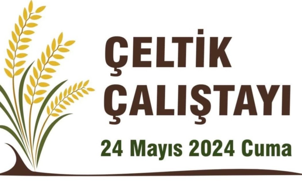 09507290_64100_ctb-den-celtik-calistayi-