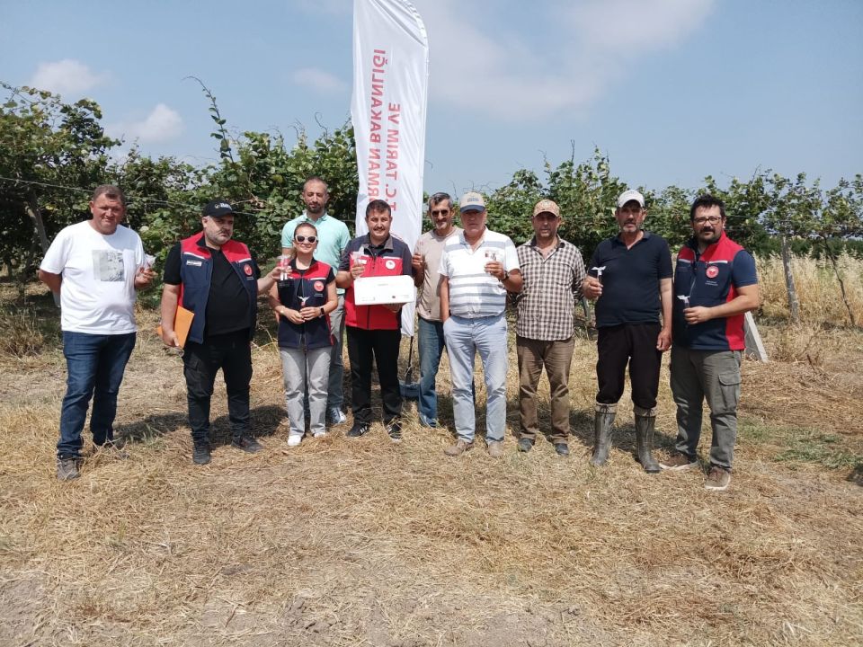 Kahverengi kokarcaya karşı doğaya samuray arısı salındı