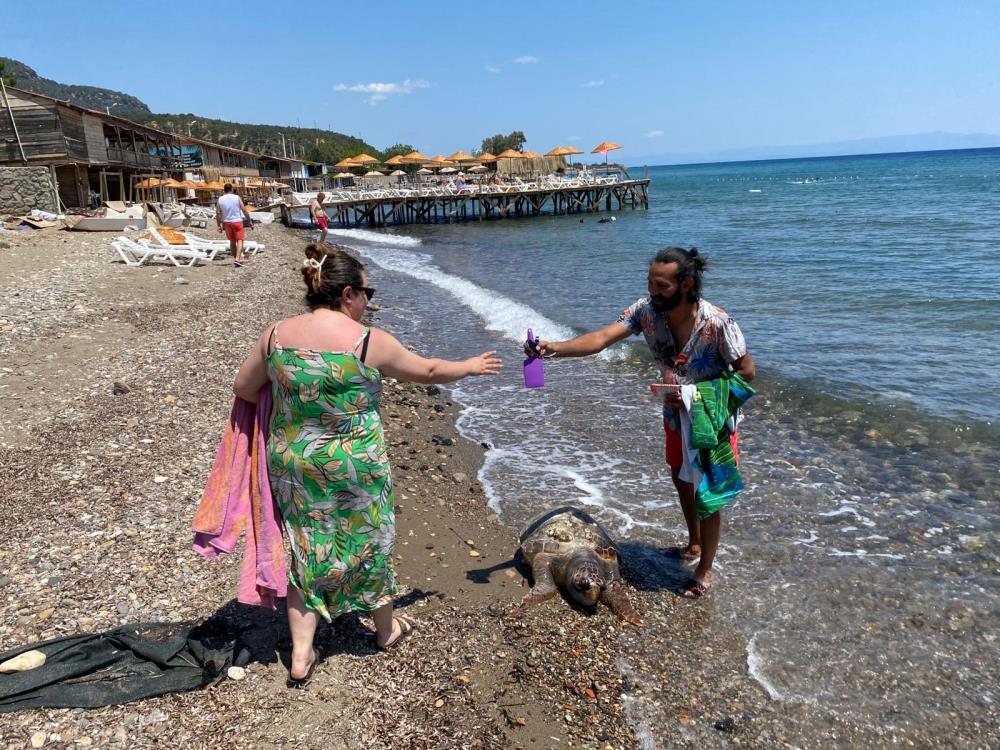 102135_wuciwug_0a6c642c_assos-sahilinde.jpeg