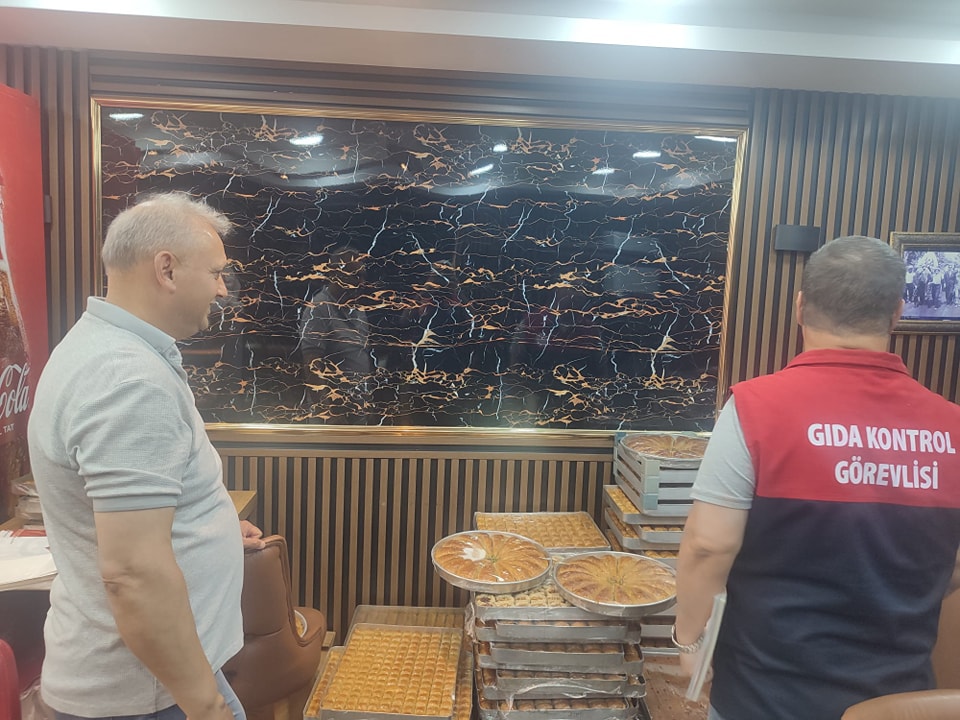 92674_wuciwug_5f3e90c8_gelibolu-da-kur.jpeg