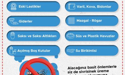Sivrisineklerin Üreme Noktalarına Karşı Seferberlik: Çanakkale Belediyesi Ekipleri Sahada!