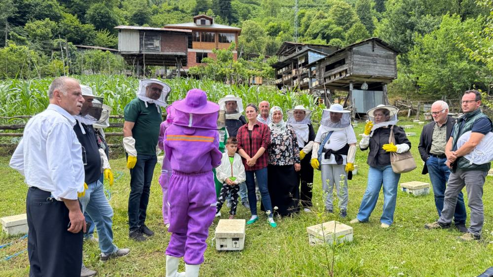 103730_wuciwug_80ad821e_artvin-de-arici.jpeg
