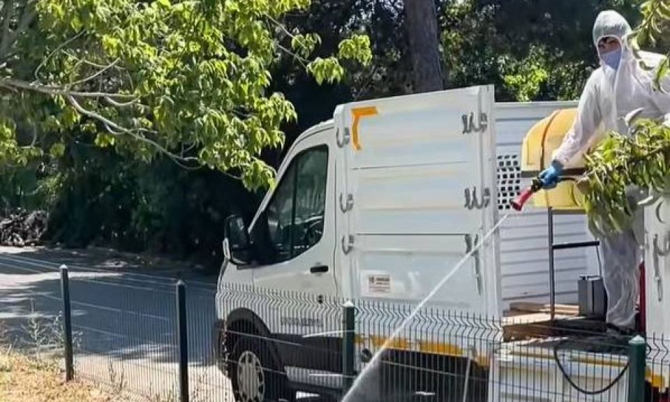 Gökçeada'da ilaçlama çalışmaları sürüyor
