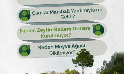 Orman Genel Müdürlüğü'nden “Sadece çam mı dikiliyor?” sorusuna yanıt