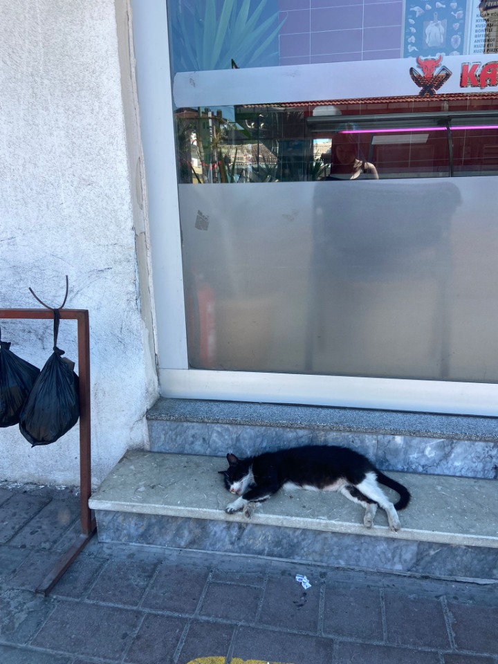 104701_wuciwug_add4c522_can-kurtarmak-u.jpeg