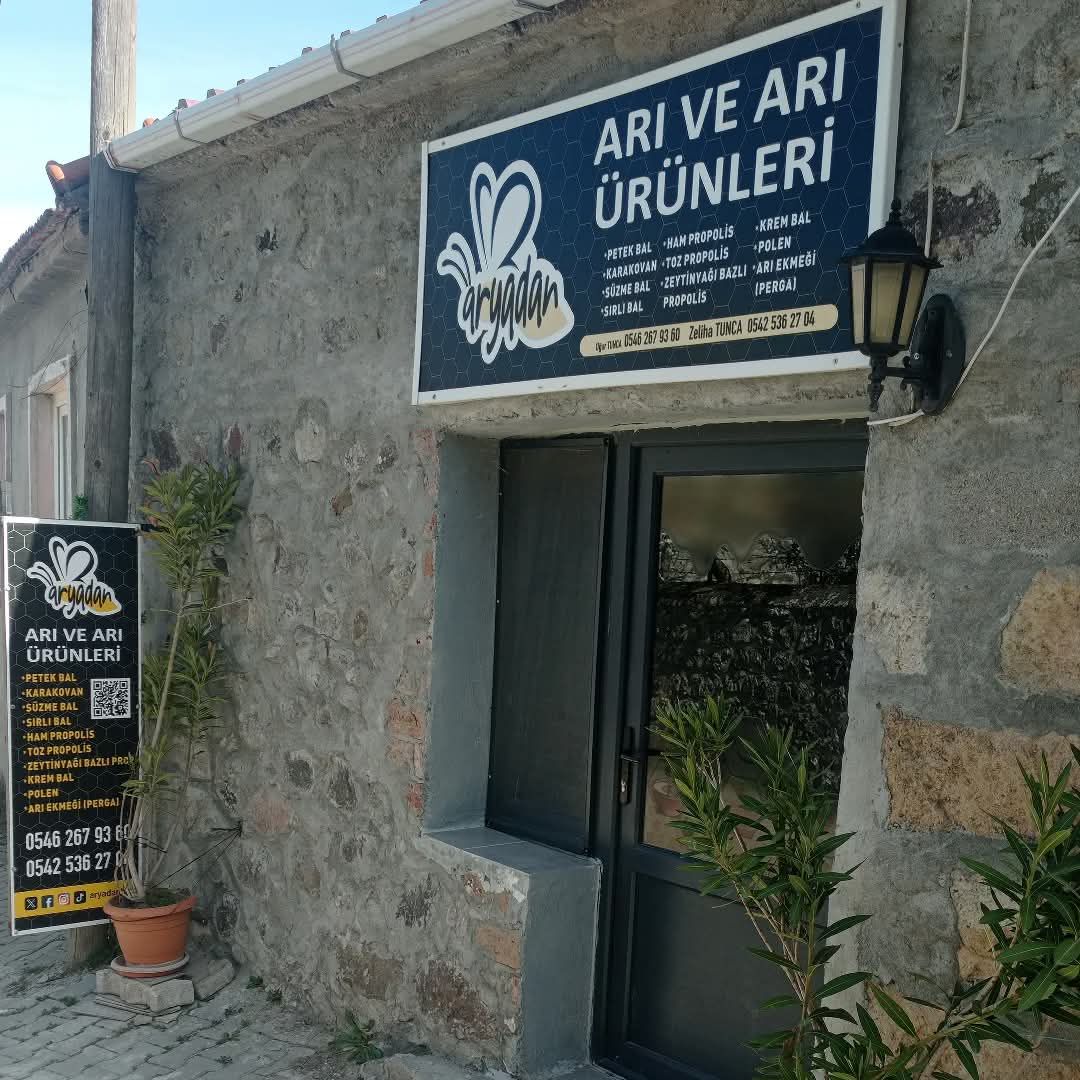 105979_wuciwug_733be1e6_aricilik-sanat.jpeg