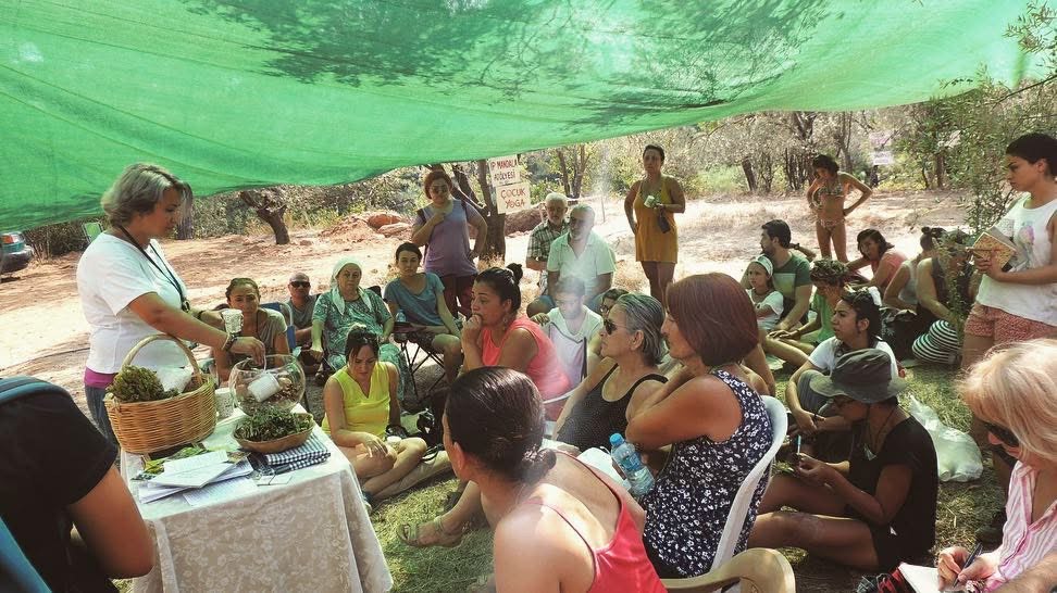 107747_wuciwug_1f1c9f13_kazdagi-ekofest.jpeg