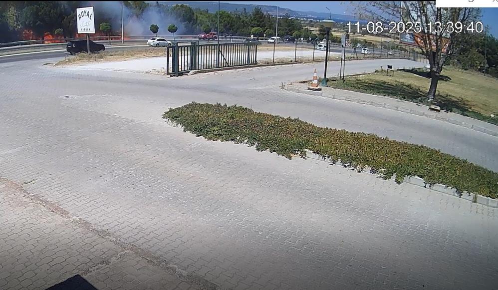 108028_wuciwug_8a071496_canakkale-orman.jpeg
