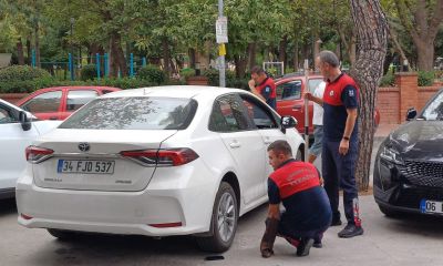 Çanakkale’de Park Halindeki Araçtan Kedi Kurtarıldı
