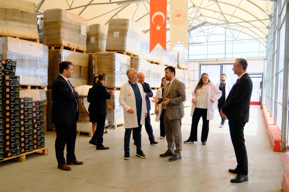 109810_wuciwug_d6cbb447_canakkale-den-k.jpeg
