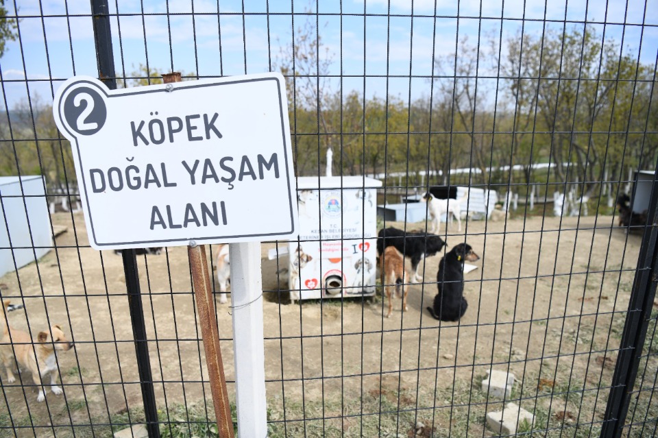 109895_wuciwug_a2ab4d2b_kesan-belediyes.jpeg